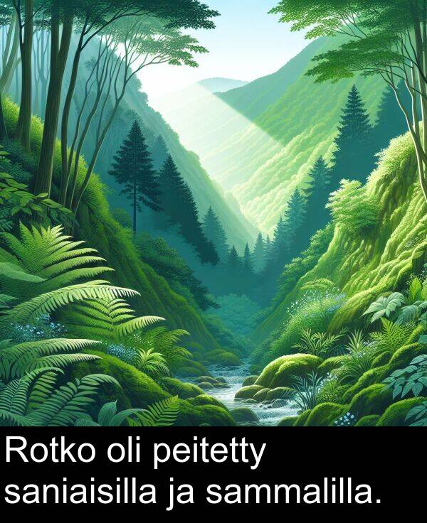 saniaisilla: Rotko oli peitetty saniaisilla ja sammalilla.