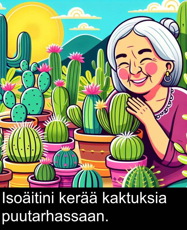 kerää: Isoäitini kerää kaktuksia puutarhassaan.
