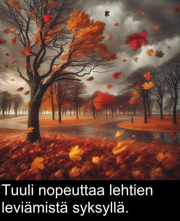 syksyllä: Tuuli nopeuttaa lehtien leviämistä syksyllä.