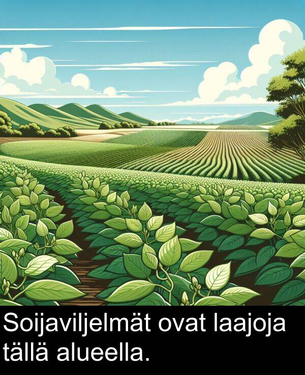 tällä: Soijaviljelmät ovat laajoja tällä alueella.