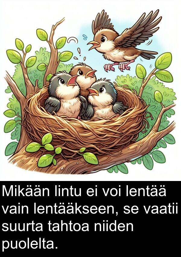 suurta: Mikään lintu ei voi lentää vain lentääkseen, se vaatii suurta tahtoa niiden puolelta.