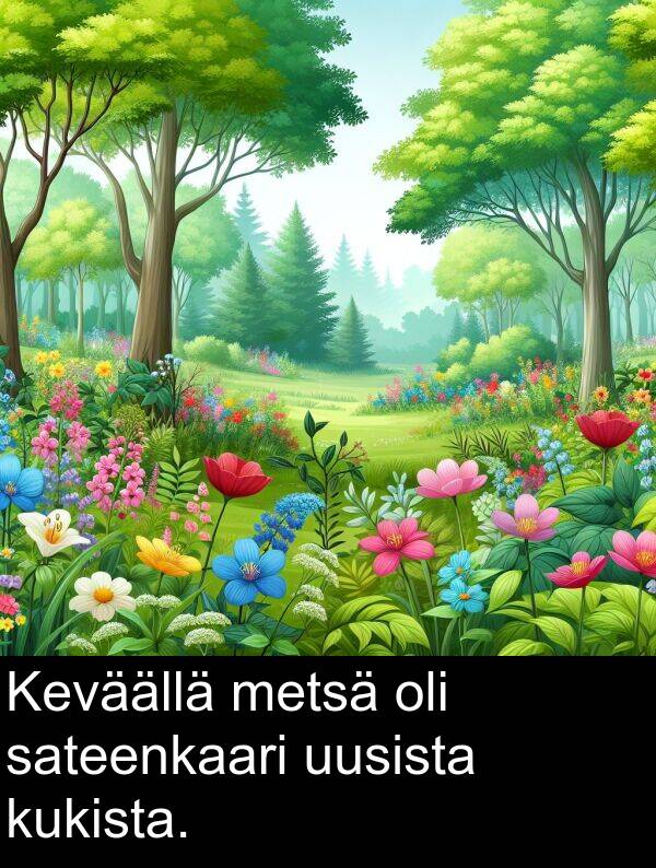 sateenkaari: Keväällä metsä oli sateenkaari uusista kukista.