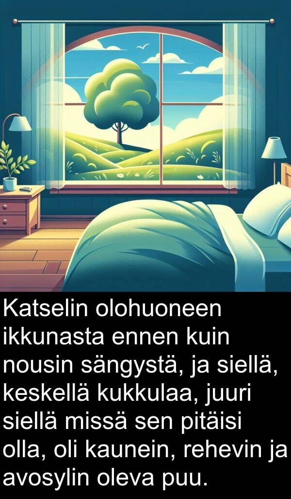 siellä: Katselin olohuoneen ikkunasta ennen kuin nousin sängystä, ja siellä, keskellä kukkulaa, juuri siellä missä sen pitäisi olla, oli kaunein, rehevin ja avosylin oleva puu.