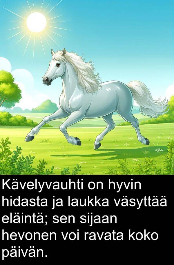 sijaan: Kävelyvauhti on hyvin hidasta ja laukka väsyttää eläintä; sen sijaan hevonen voi ravata koko päivän.