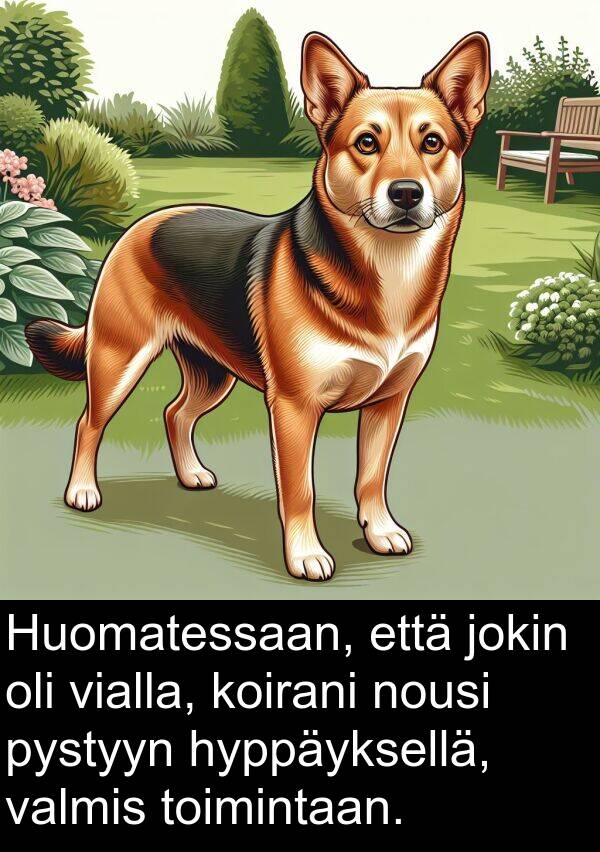 pystyyn: Huomatessaan, että jokin oli vialla, koirani nousi pystyyn hyppäyksellä, valmis toimintaan.