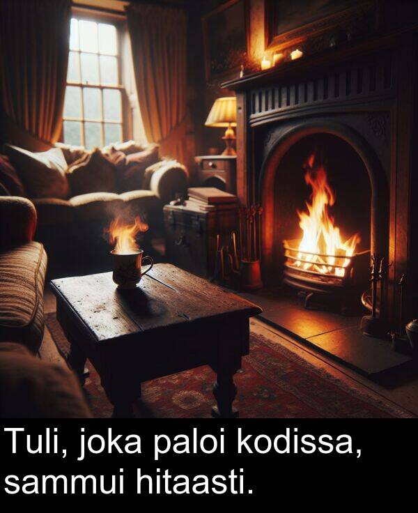joka: Tuli, joka paloi kodissa, sammui hitaasti.