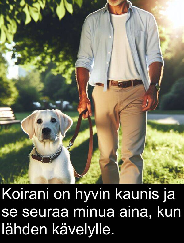 seuraa: Koirani on hyvin kaunis ja se seuraa minua aina, kun lähden kävelylle.