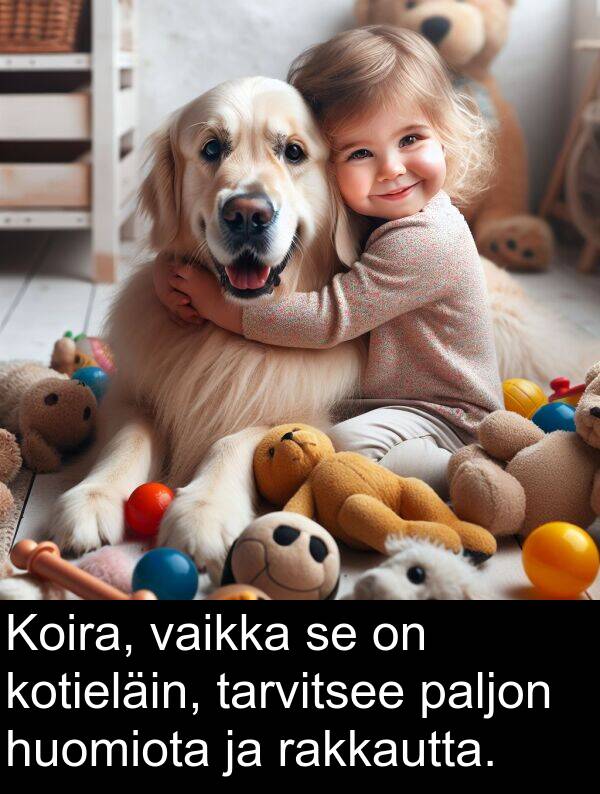 vaikka: Koira, vaikka se on kotieläin, tarvitsee paljon huomiota ja rakkautta.