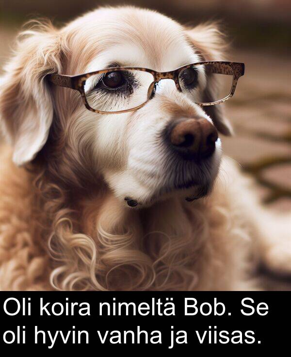 nimeltä: Oli koira nimeltä Bob. Se oli hyvin vanha ja viisas.