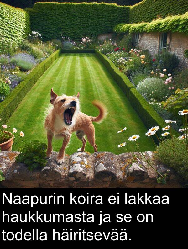 lakkaa: Naapurin koira ei lakkaa haukkumasta ja se on todella häiritsevää.