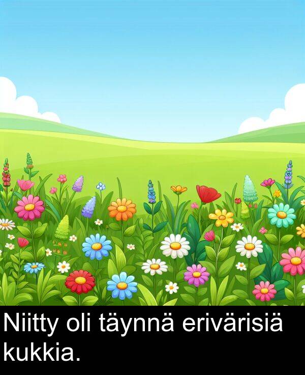 täynnä: Niitty oli täynnä erivärisiä kukkia.