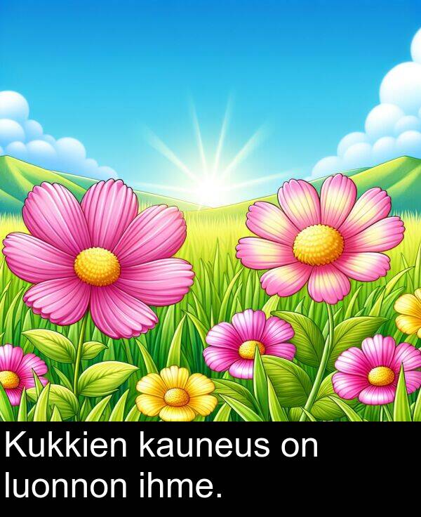 ihme: Kukkien kauneus on luonnon ihme.