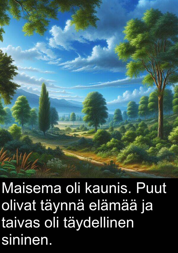 taivas: Maisema oli kaunis. Puut olivat täynnä elämää ja taivas oli täydellinen sininen.
