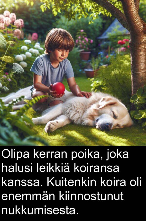 leikkiä: Olipa kerran poika, joka halusi leikkiä koiransa kanssa. Kuitenkin koira oli enemmän kiinnostunut nukkumisesta.