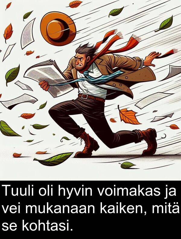 vei: Tuuli oli hyvin voimakas ja vei mukanaan kaiken, mitä se kohtasi.