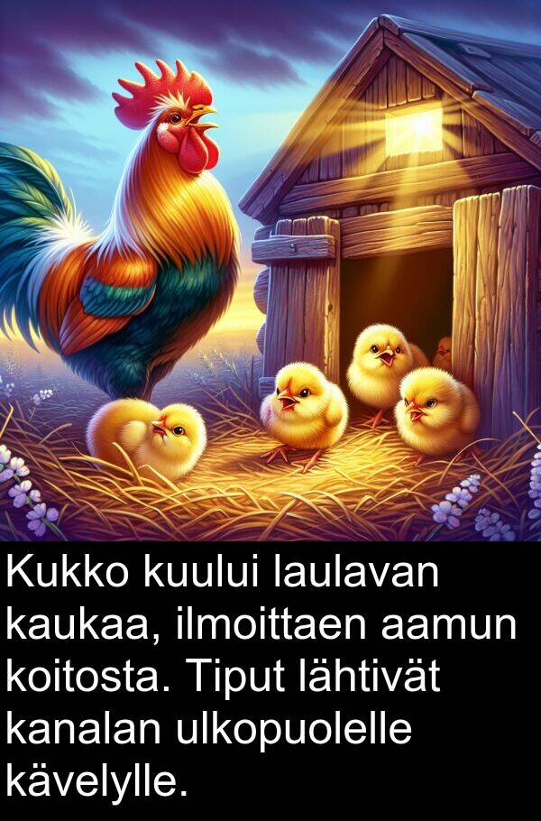 ulkopuolelle: Kukko kuului laulavan kaukaa, ilmoittaen aamun koitosta. Tiput lähtivät kanalan ulkopuolelle kävelylle.