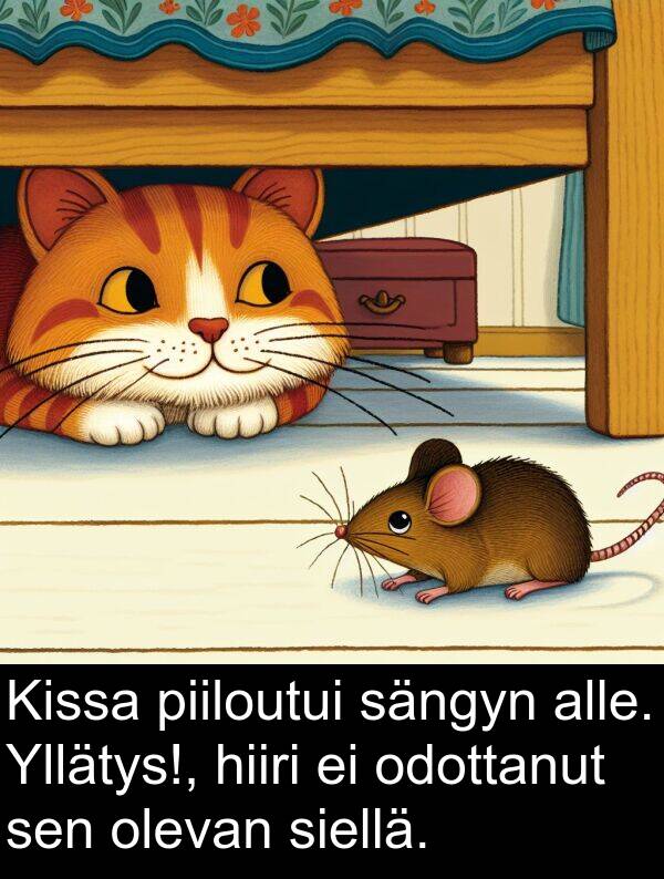 siellä: Kissa piiloutui sängyn alle. Yllätys!, hiiri ei odottanut sen olevan siellä.