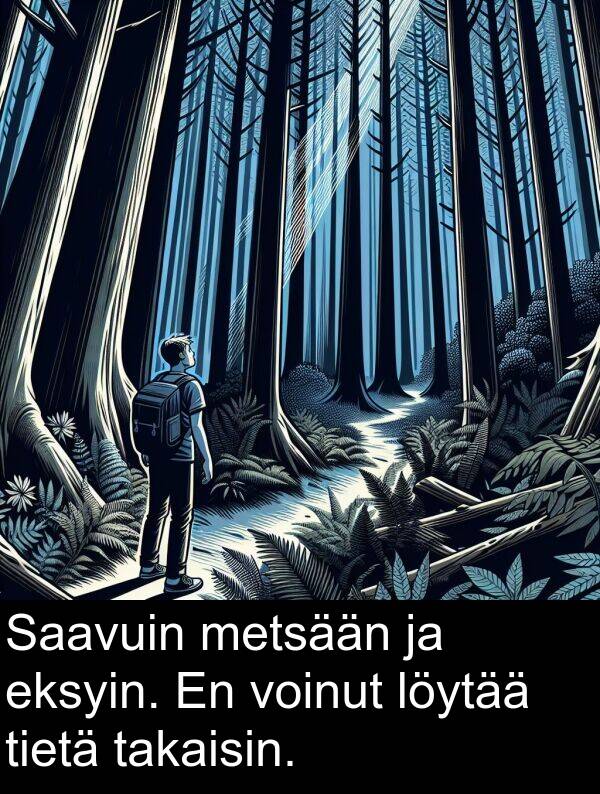 metsään: Saavuin metsään ja eksyin. En voinut löytää tietä takaisin.