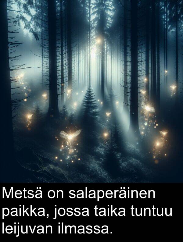 salaperäinen: Metsä on salaperäinen paikka, jossa taika tuntuu leijuvan ilmassa.