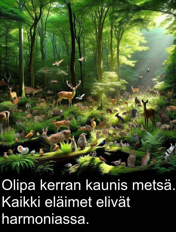 harmoniassa: Olipa kerran kaunis metsä. Kaikki eläimet elivät harmoniassa.