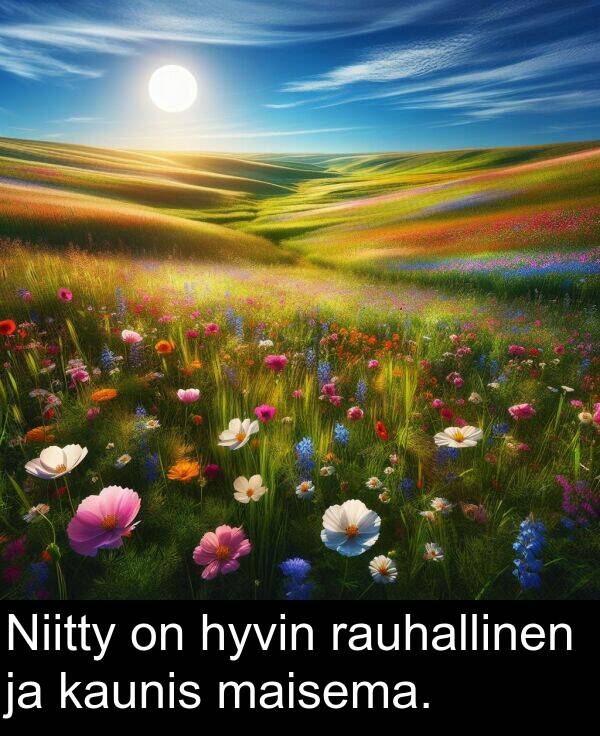 rauhallinen: Niitty on hyvin rauhallinen ja kaunis maisema.