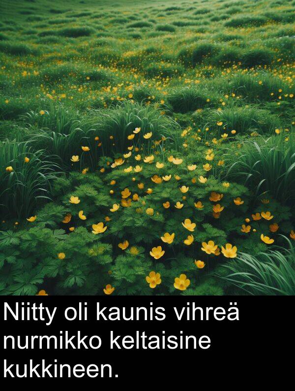 nurmikko: Niitty oli kaunis vihreä nurmikko keltaisine kukkineen.