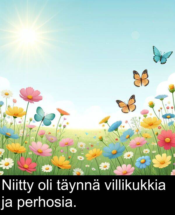 villikukkia: Niitty oli täynnä villikukkia ja perhosia.
