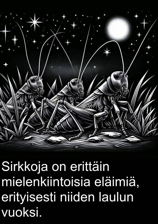 mielenkiintoisia: Sirkkoja on erittäin mielenkiintoisia eläimiä, erityisesti niiden laulun vuoksi.