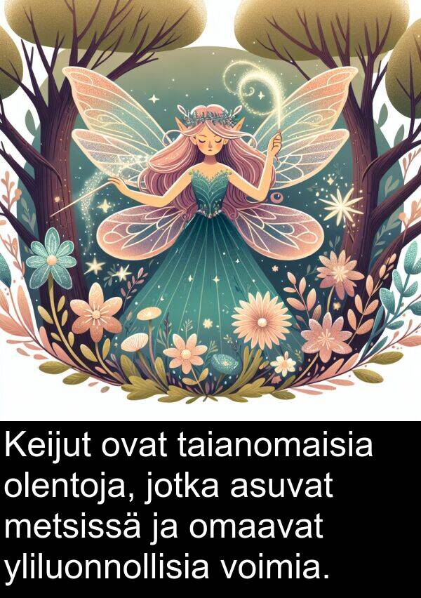 yliluonnollisia: Keijut ovat taianomaisia olentoja, jotka asuvat metsissä ja omaavat yliluonnollisia voimia.