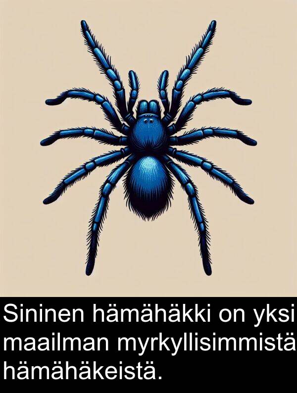 maailman: Sininen hämähäkki on yksi maailman myrkyllisimmistä hämähäkeistä.