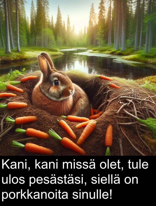 siellä: Kani, kani missä olet, tule ulos pesästäsi, siellä on porkkanoita sinulle!