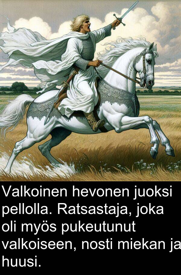 pellolla: Valkoinen hevonen juoksi pellolla. Ratsastaja, joka oli myös pukeutunut valkoiseen, nosti miekan ja huusi.