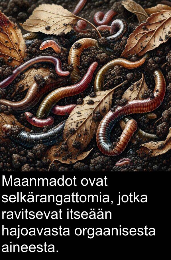 selkärangattomia: Maanmadot ovat selkärangattomia, jotka ravitsevat itseään hajoavasta orgaanisesta aineesta.