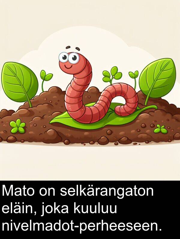 selkärangaton: Mato on selkärangaton eläin, joka kuuluu nivelmadot-perheeseen.