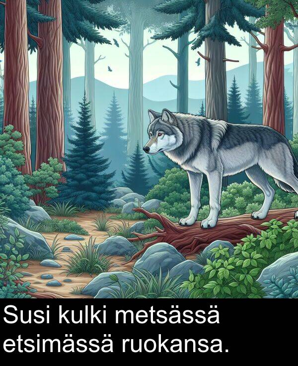 metsässä: Susi kulki metsässä etsimässä ruokansa.