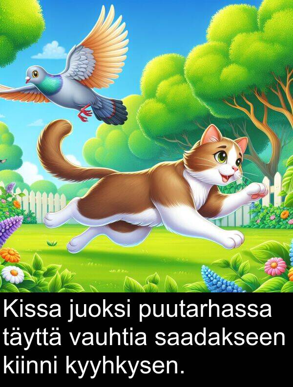 saadakseen: Kissa juoksi puutarhassa täyttä vauhtia saadakseen kiinni kyyhkysen.