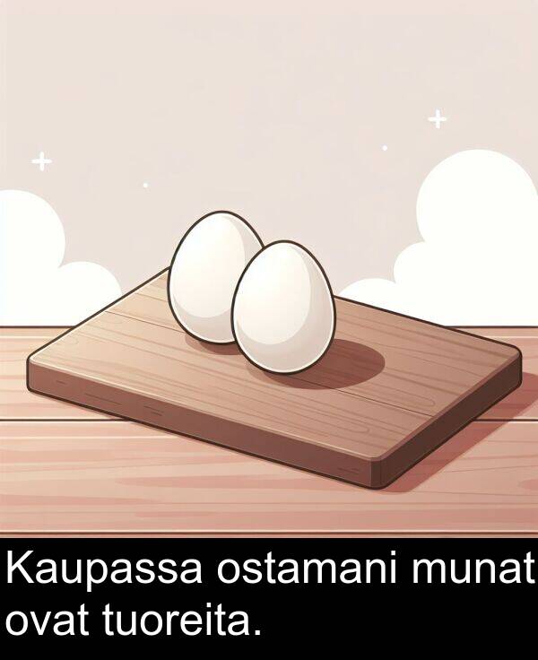 ovat: Kaupassa ostamani munat ovat tuoreita.