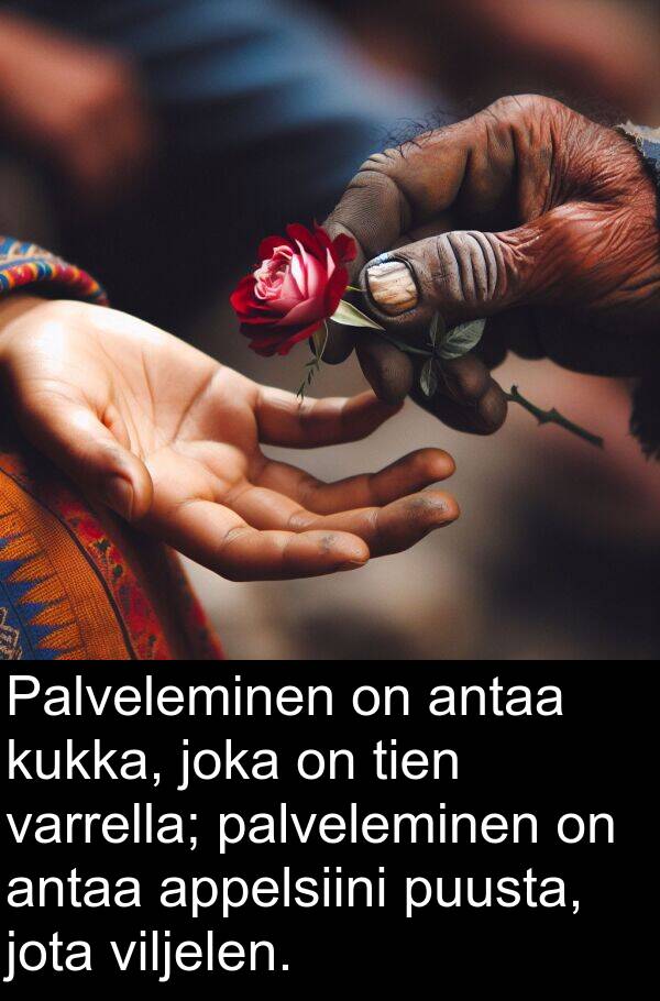 puusta: Palveleminen on antaa kukka, joka on tien varrella; palveleminen on antaa appelsiini puusta, jota viljelen.