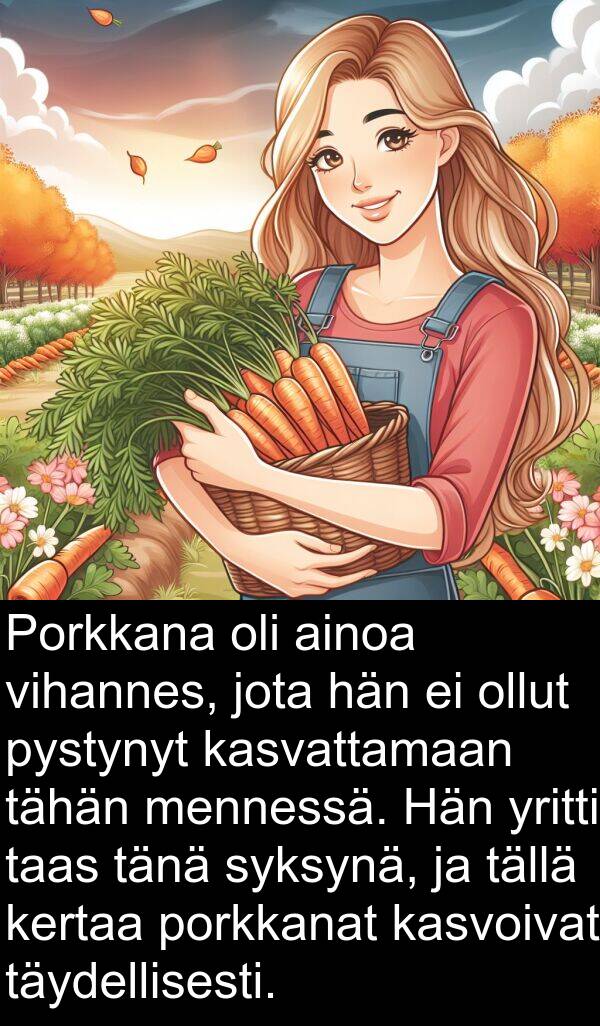 tällä: Porkkana oli ainoa vihannes, jota hän ei ollut pystynyt kasvattamaan tähän mennessä. Hän yritti taas tänä syksynä, ja tällä kertaa porkkanat kasvoivat täydellisesti.