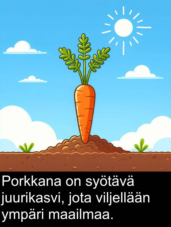 jota: Porkkana on syötävä juurikasvi, jota viljellään ympäri maailmaa.