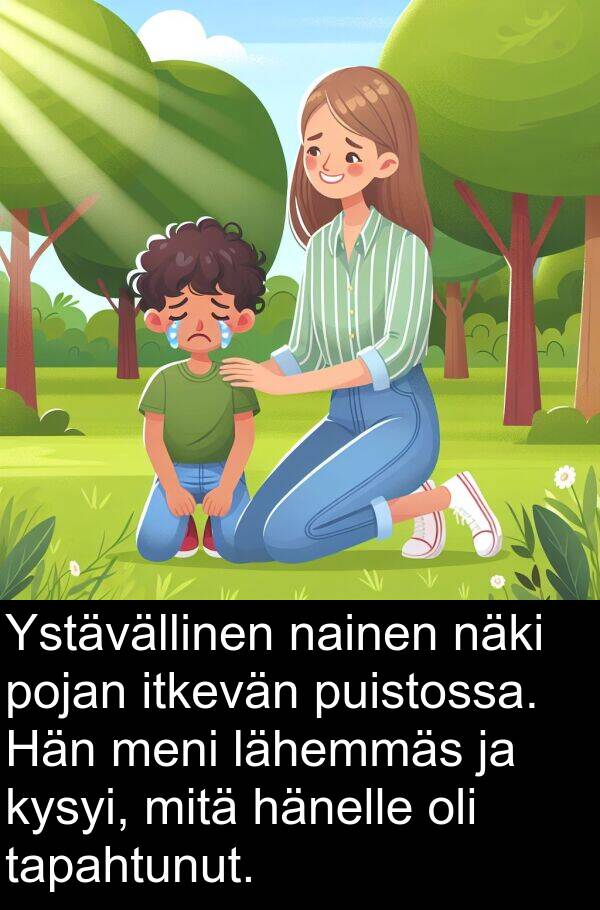 puistossa: Ystävällinen nainen näki pojan itkevän puistossa. Hän meni lähemmäs ja kysyi, mitä hänelle oli tapahtunut.