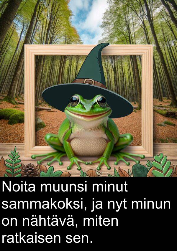 sammakoksi: Noita muunsi minut sammakoksi, ja nyt minun on nähtävä, miten ratkaisen sen.