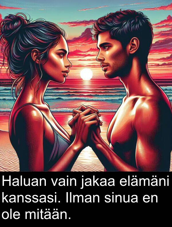 sinua: Haluan vain jakaa elämäni kanssasi. Ilman sinua en ole mitään.