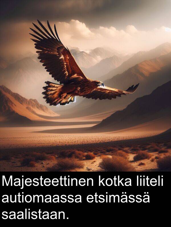 saalistaan: Majesteettinen kotka liiteli autiomaassa etsimässä saalistaan.
