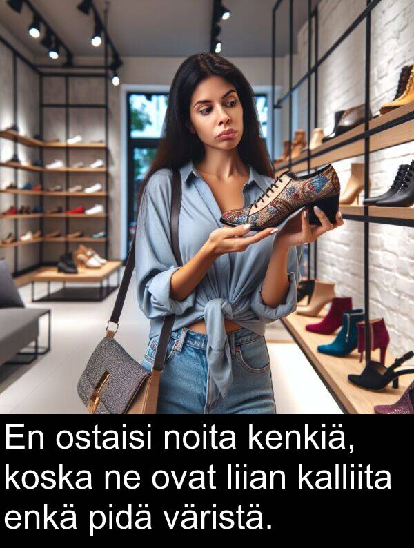 ostaisi: En ostaisi noita kenkiä, koska ne ovat liian kalliita enkä pidä väristä.