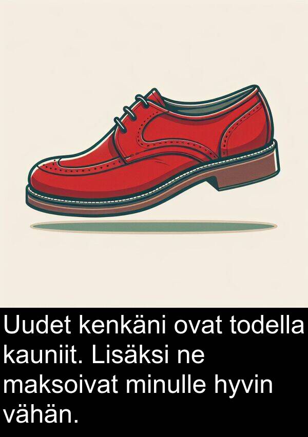 kauniit: Uudet kenkäni ovat todella kauniit. Lisäksi ne maksoivat minulle hyvin vähän.