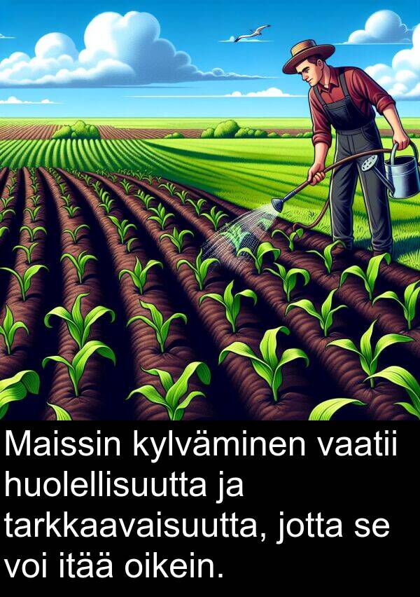 oikein: Maissin kylväminen vaatii huolellisuutta ja tarkkaavaisuutta, jotta se voi itää oikein.