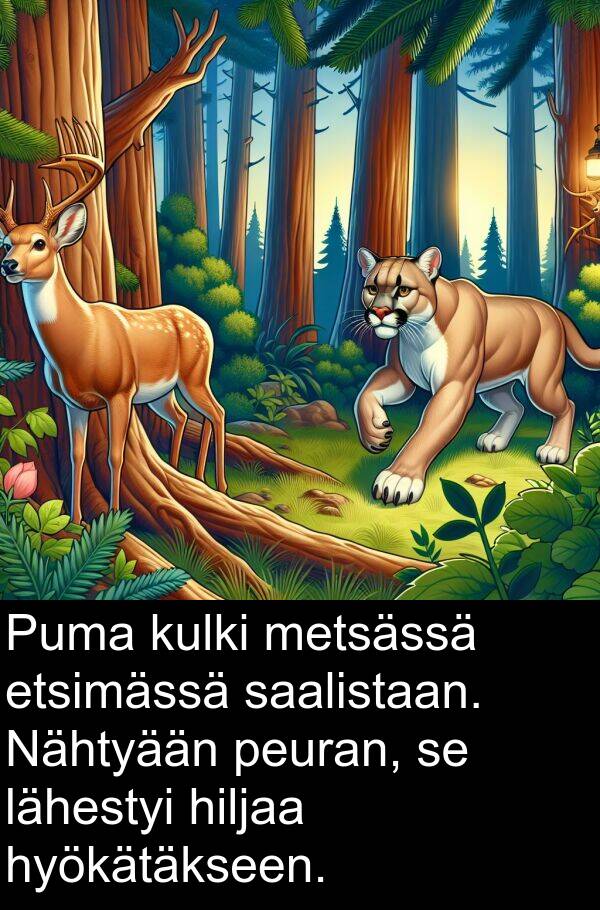 saalistaan: Puma kulki metsässä etsimässä saalistaan. Nähtyään peuran, se lähestyi hiljaa hyökätäkseen.