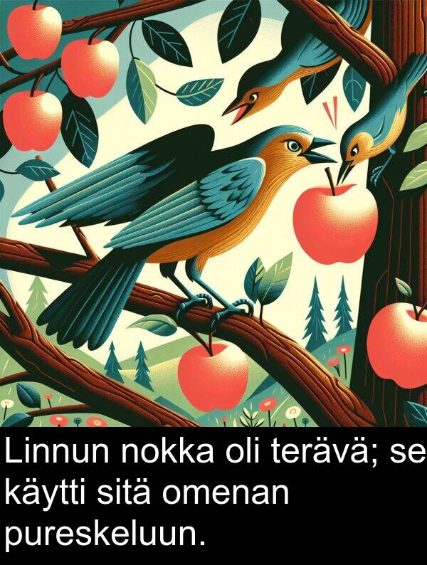 sitä: Linnun nokka oli terävä; se käytti sitä omenan pureskeluun.