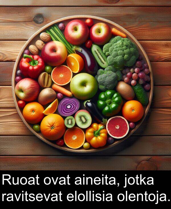 olentoja: Ruoat ovat aineita, jotka ravitsevat elollisia olentoja.